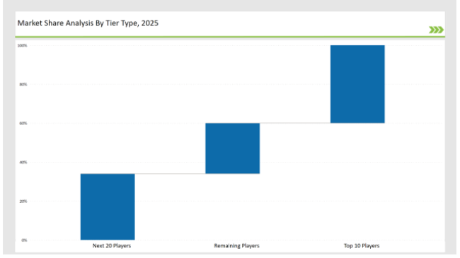 Bulk Container Share Analysis By Tier Type 2025